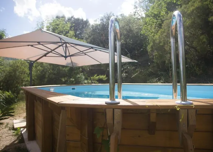 Le Temps D'une Parenthese Rosis